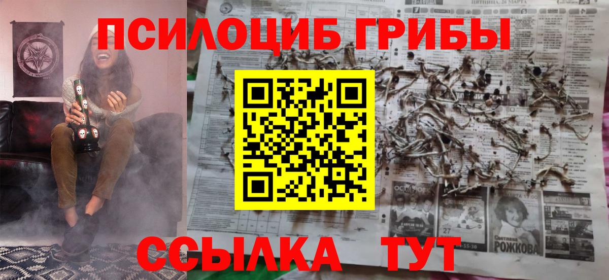 Псилоцибиновые грибы GOLDEN TEACHER Дербент