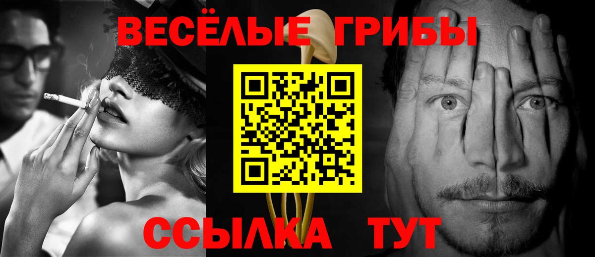 Галлюциногенные грибы Cubensis  Вход с VPN  Дербент 