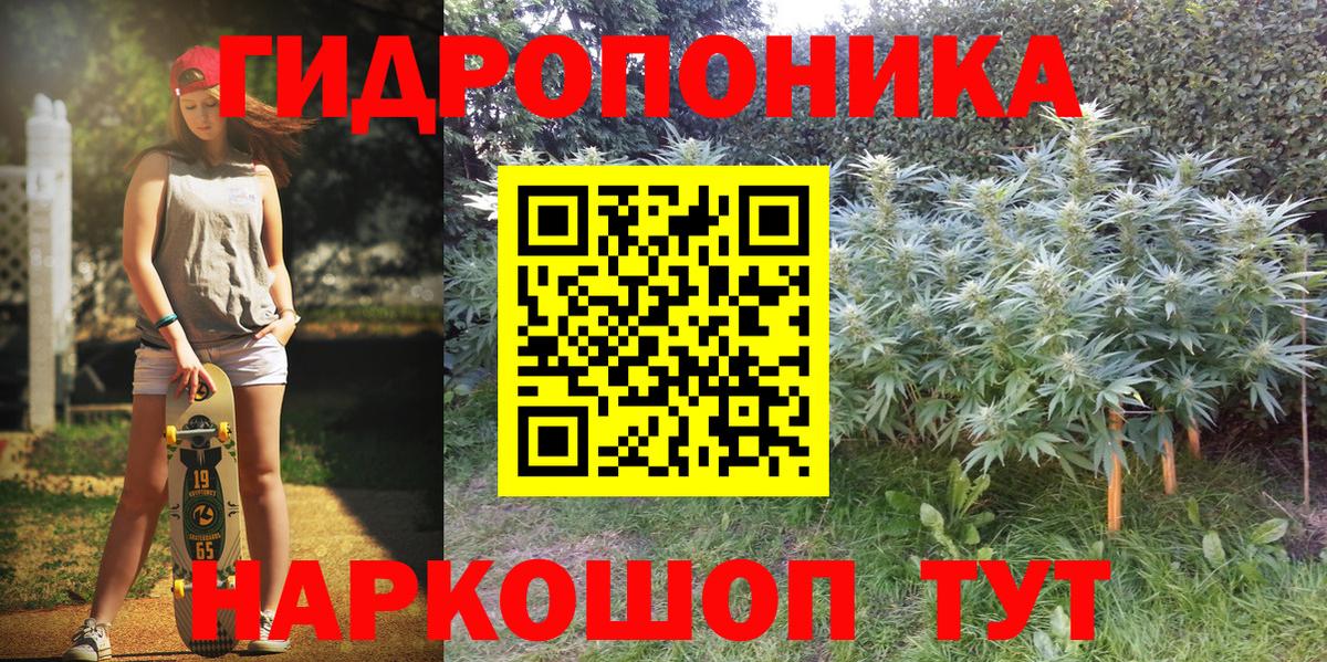 Канабис ГИДРОПОН Дербент